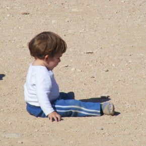 CINGUETTATELO sui tetti: non siamo più soli nelle scelte