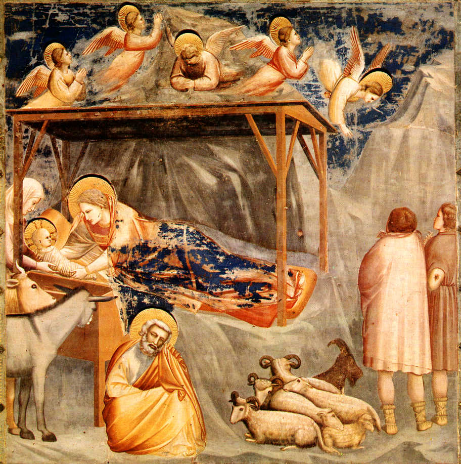 Luce, liberazione, gioia, bellezza in una stalla!