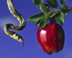 Lasciati riCOMINCIARE
