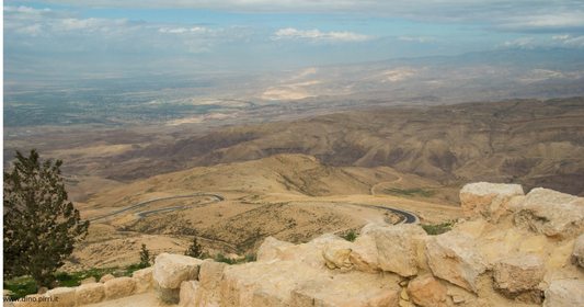 Tra la vita e la morte